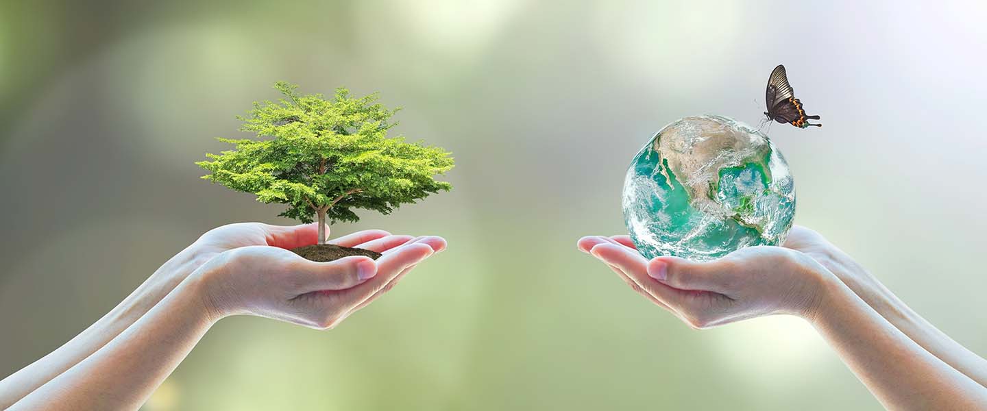 Sustainability
