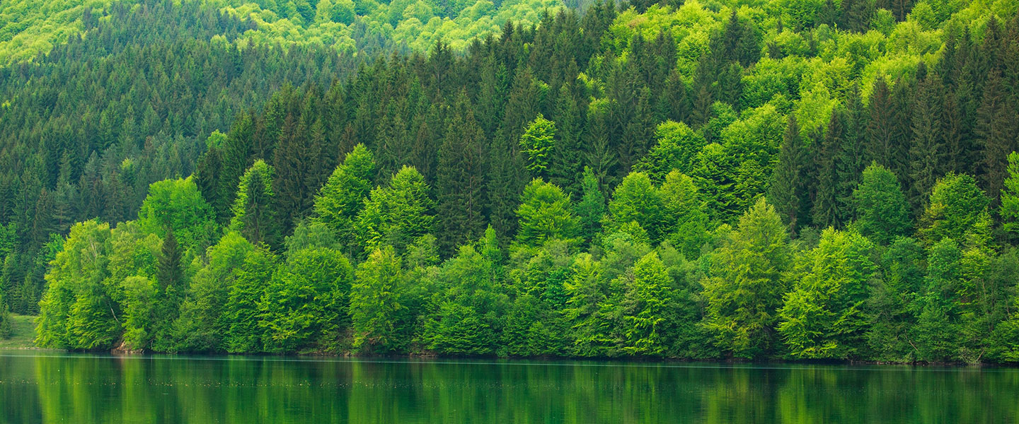 Environmental-Policy-and-Commitment